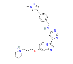 2D structure of the orthosteric ligand