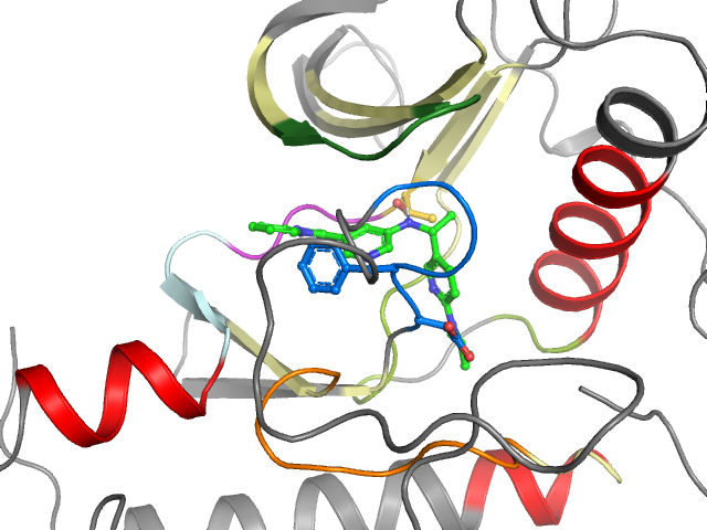 The orthosteric binding pocket