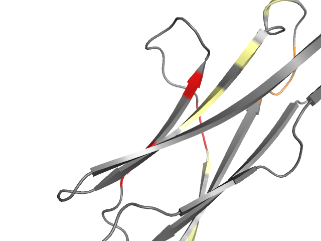 The orthosteric binding pocket