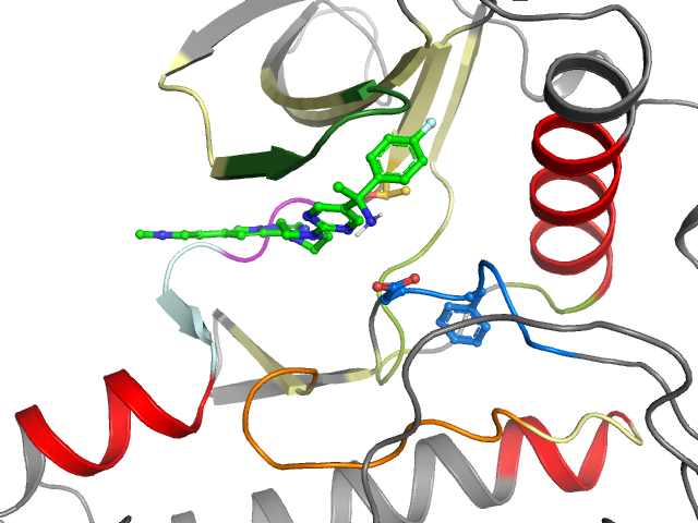 The orthosteric binding pocket