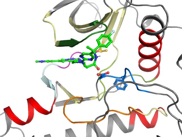 The orthosteric binding pocket