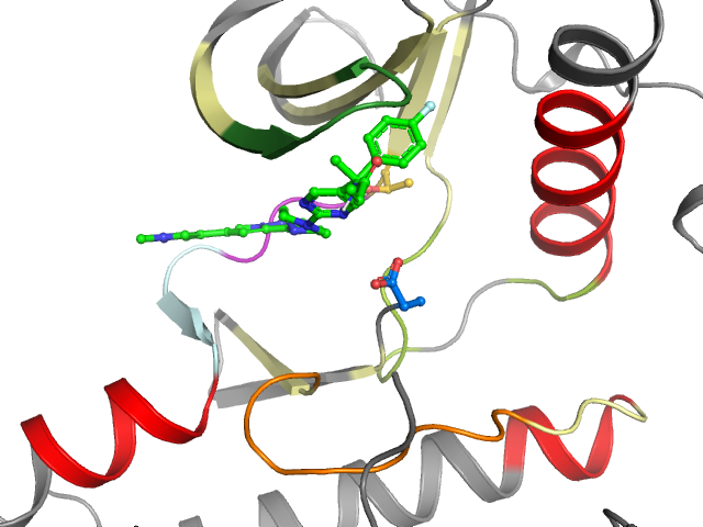 The orthosteric binding pocket