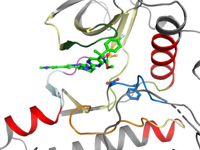 The orthosteric binding pocket