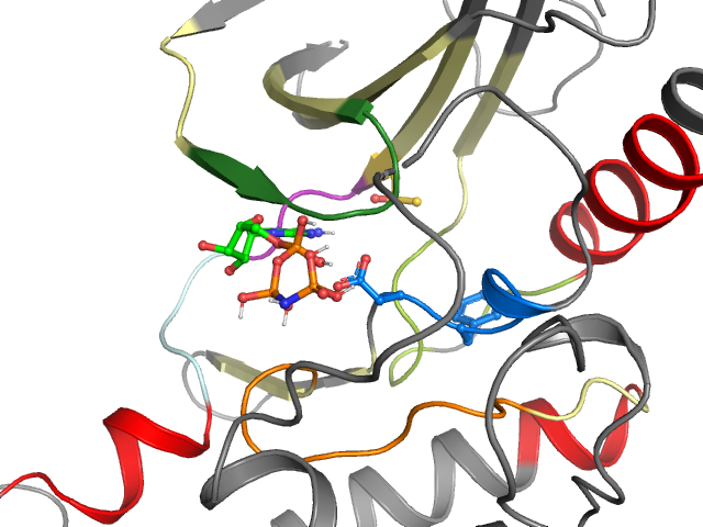 The orthosteric binding pocket
