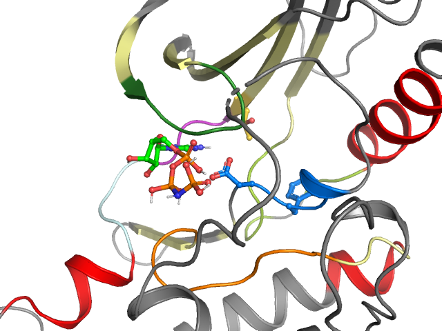The orthosteric binding pocket