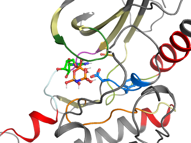 The orthosteric binding pocket