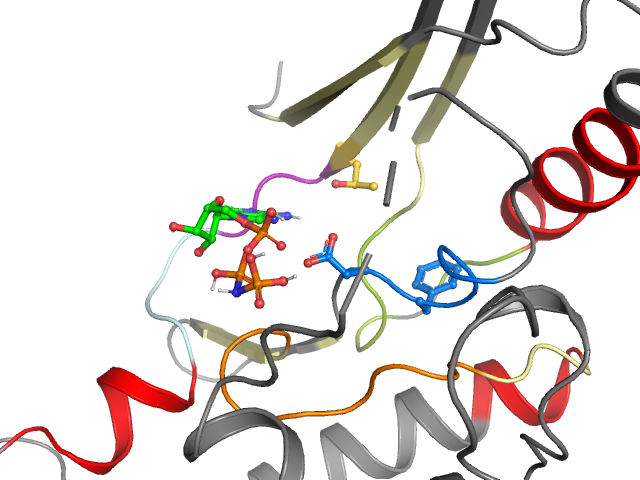 The orthosteric binding pocket