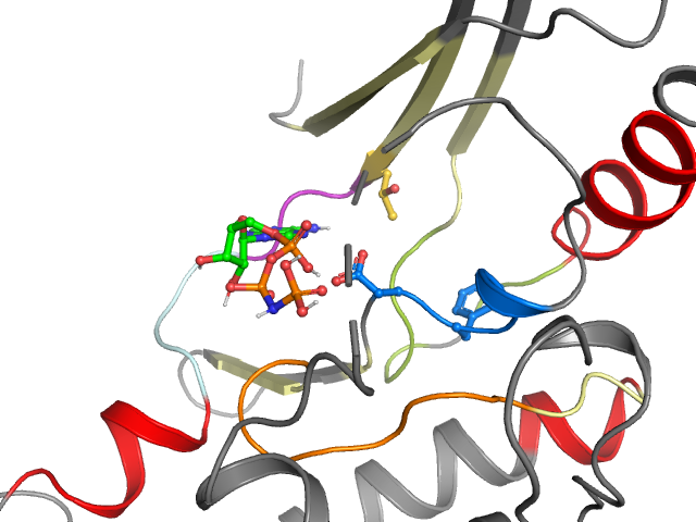 The orthosteric binding pocket