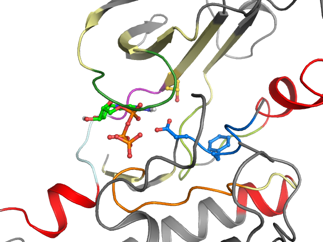 The orthosteric binding pocket
