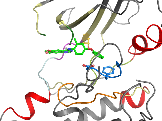 The orthosteric binding pocket