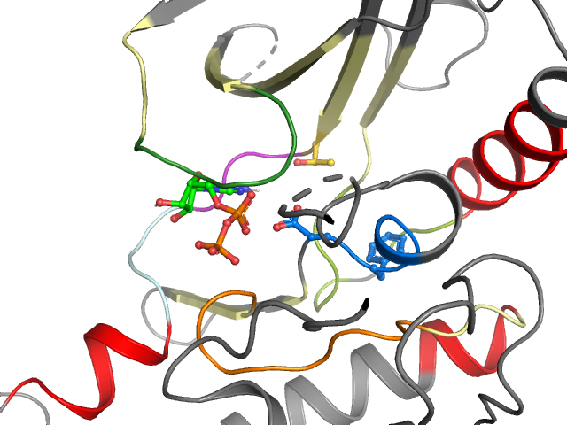 The orthosteric binding pocket