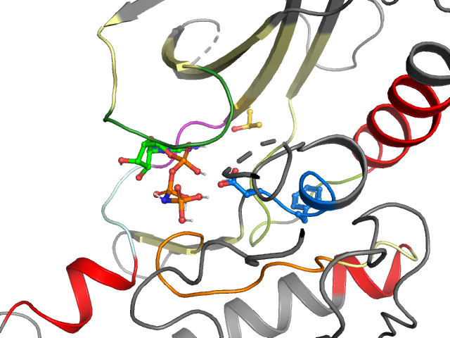 The orthosteric binding pocket