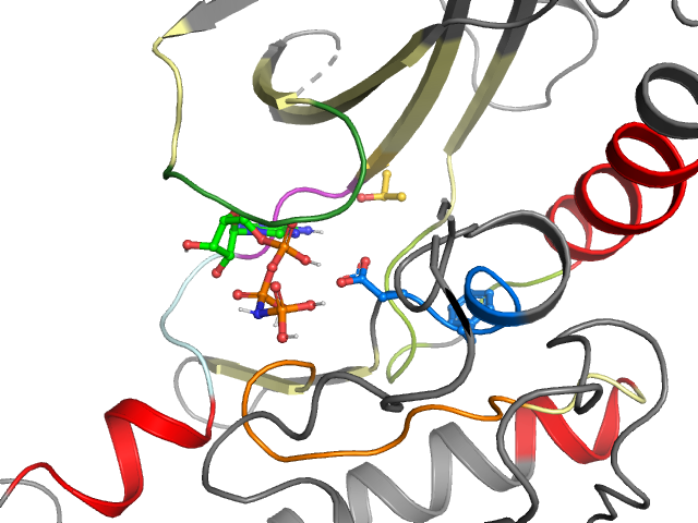 The orthosteric binding pocket