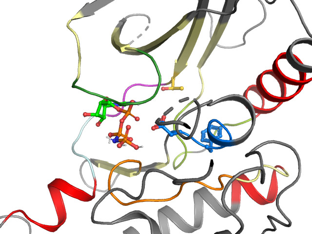 The orthosteric binding pocket
