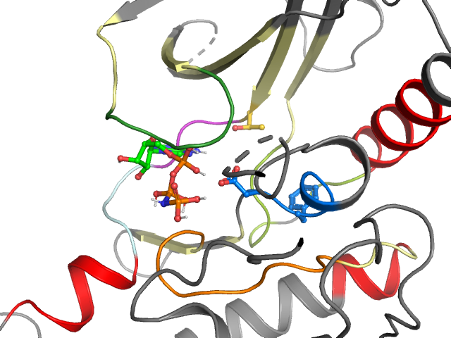 The orthosteric binding pocket