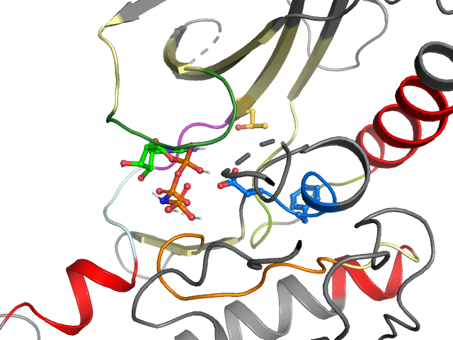 The orthosteric binding pocket