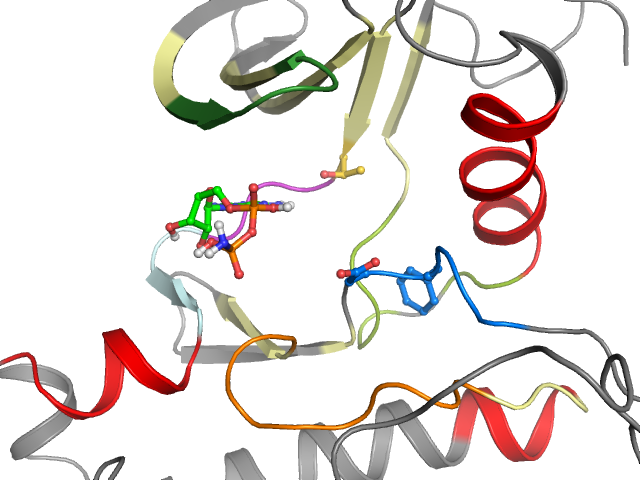 The orthosteric binding pocket
