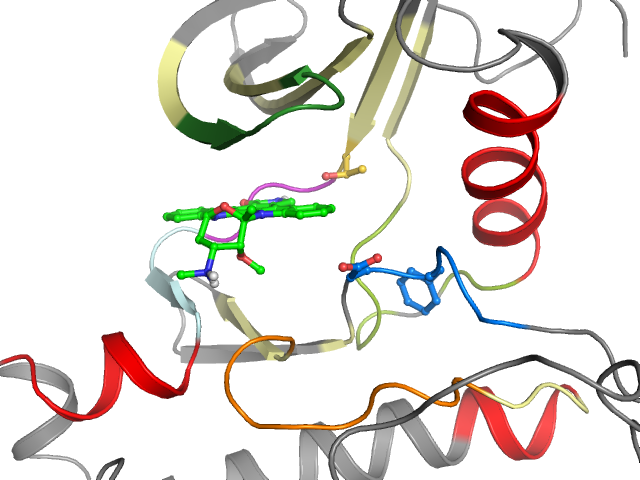 The orthosteric binding pocket