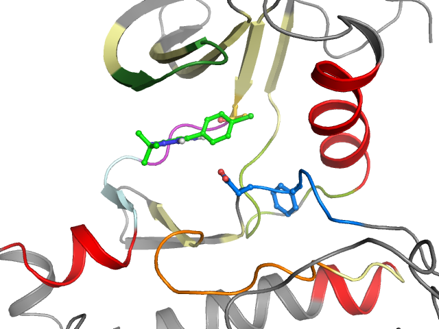 The orthosteric binding pocket