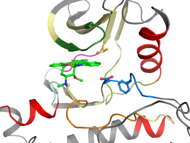 The orthosteric binding pocket