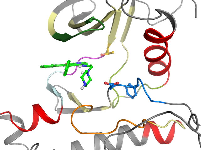 The orthosteric binding pocket