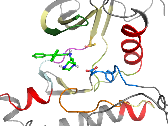 The orthosteric binding pocket