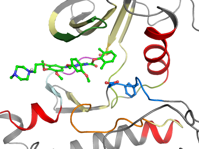 The orthosteric binding pocket