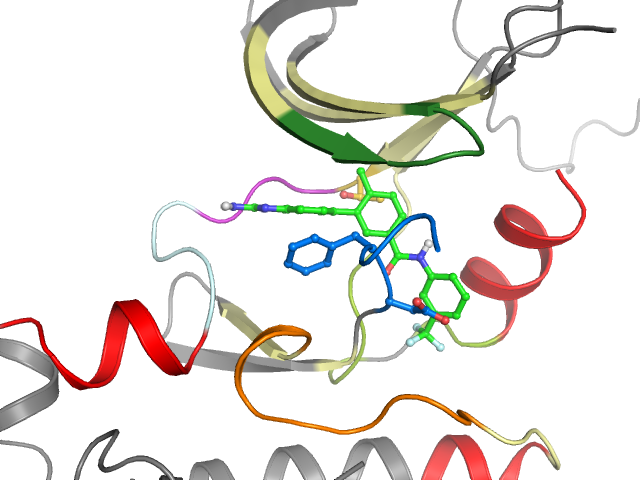 The orthosteric binding pocket