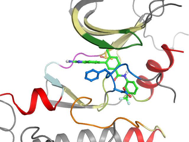 The orthosteric binding pocket