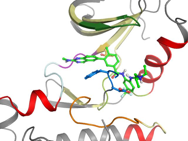 The orthosteric binding pocket