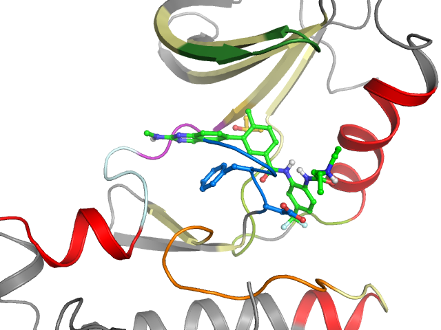 The orthosteric binding pocket