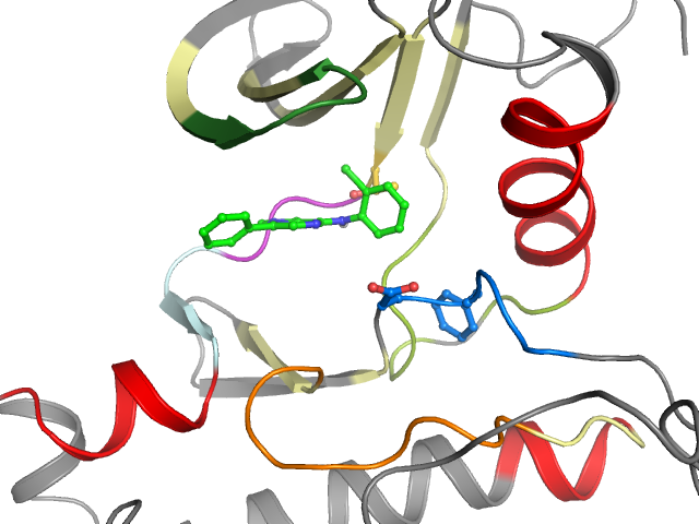 The orthosteric binding pocket