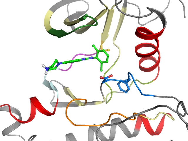 The orthosteric binding pocket
