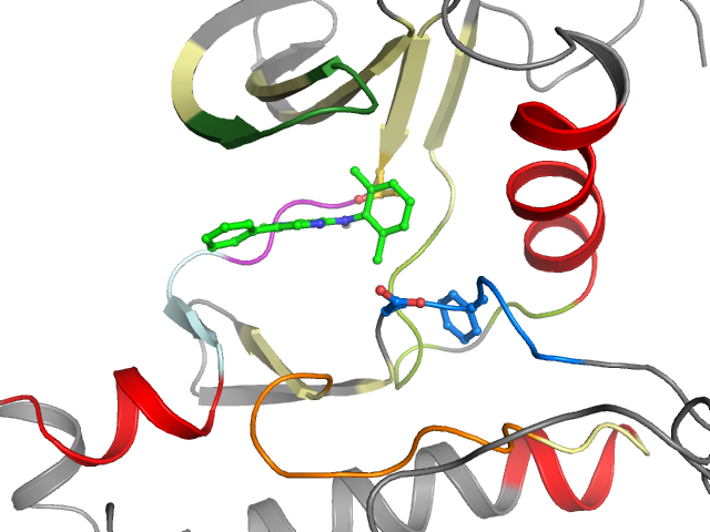 The orthosteric binding pocket