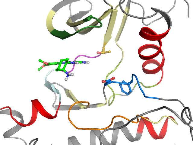 The orthosteric binding pocket