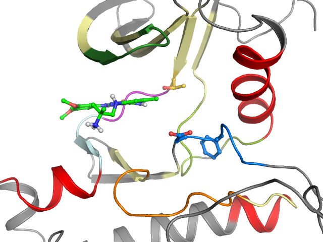 The orthosteric binding pocket