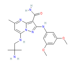 2D structure of the orthosteric ligand