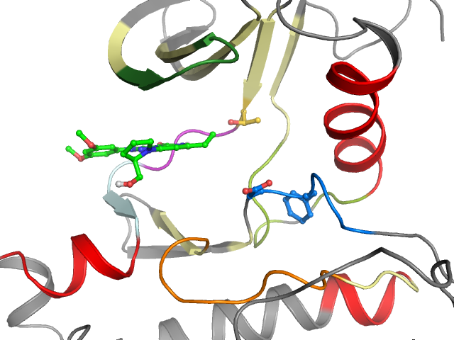 The orthosteric binding pocket