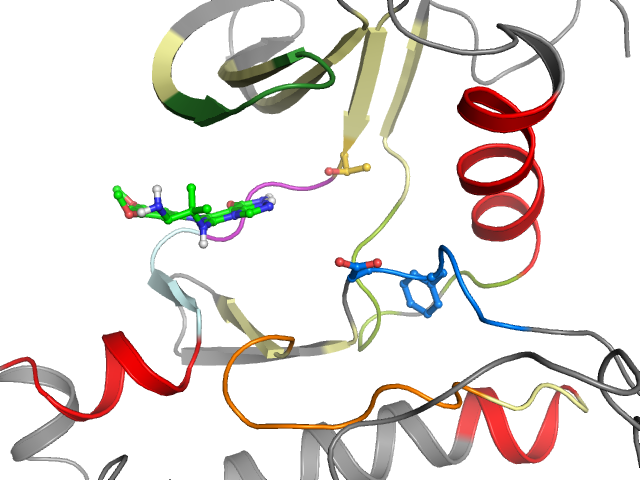 The orthosteric binding pocket