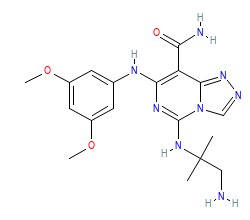 2D structure of the orthosteric ligand