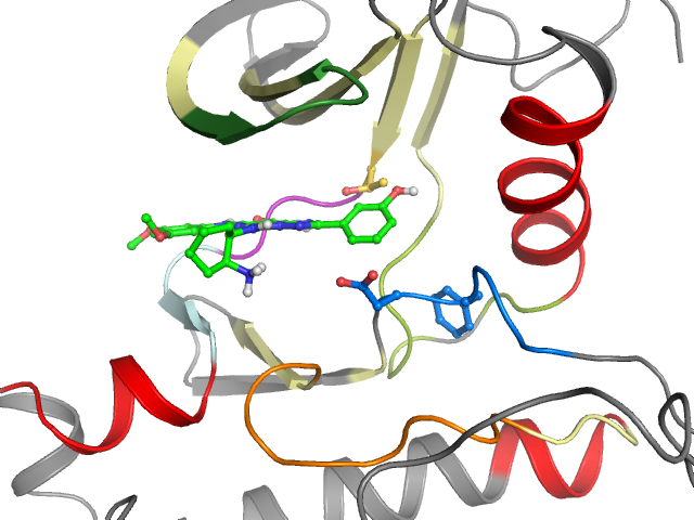 The orthosteric binding pocket