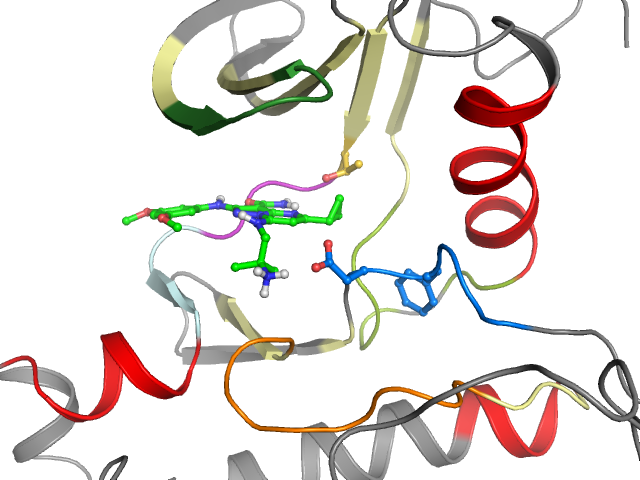 The orthosteric binding pocket