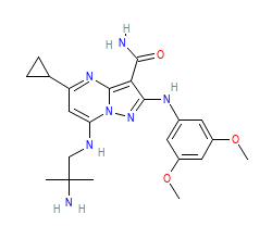 2D structure of the orthosteric ligand