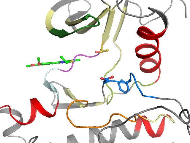 The orthosteric binding pocket