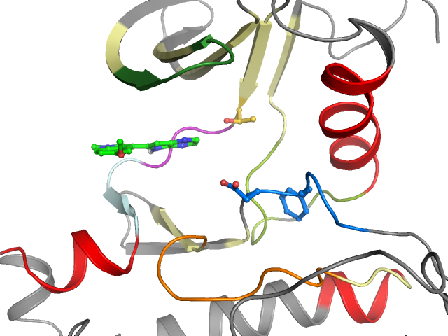The orthosteric binding pocket