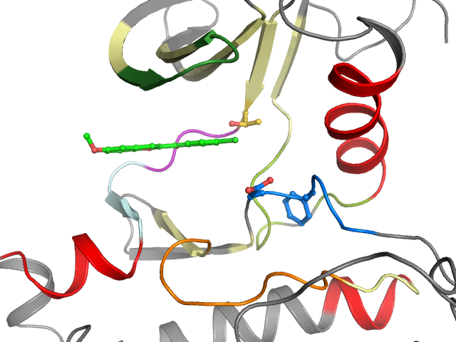 The orthosteric binding pocket