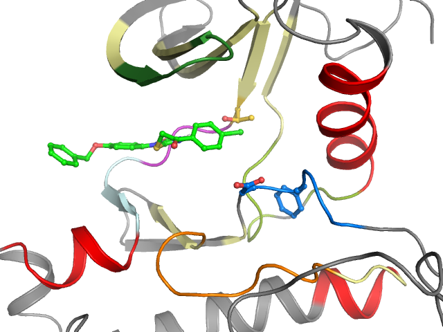 The orthosteric binding pocket