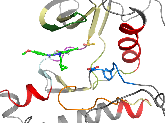 The orthosteric binding pocket