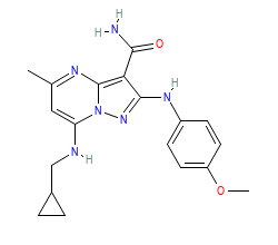 2D structure of the orthosteric ligand
