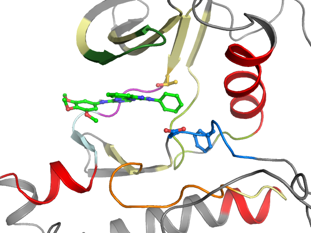 The orthosteric binding pocket